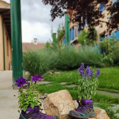 De Peregrinos Casa Flor *