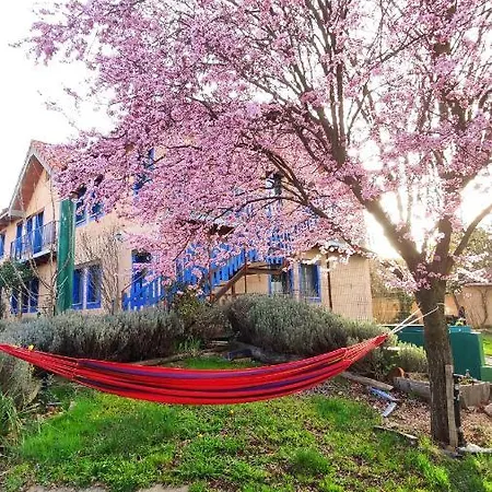 De Peregrinos Casa Flor Hostel