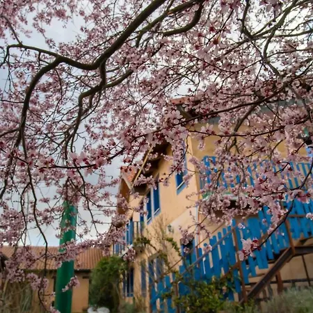 De Peregrinos Casa Flor *